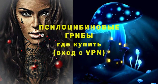 твердый Алексин