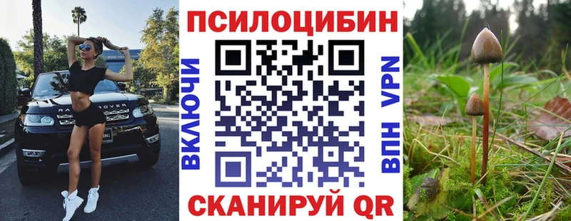 Псилоцибиновые грибы прущие грибы  Череповец 