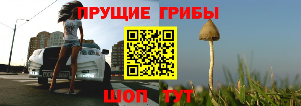 Череповец  Галлюциногенные грибы Cubensis  Вход с VPN 