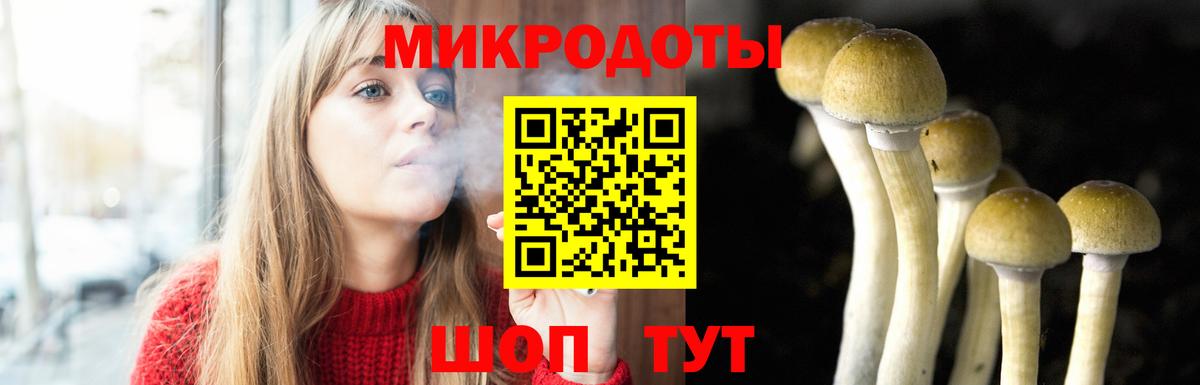 Псилоцибиновые грибы GOLDEN TEACHER Череповец